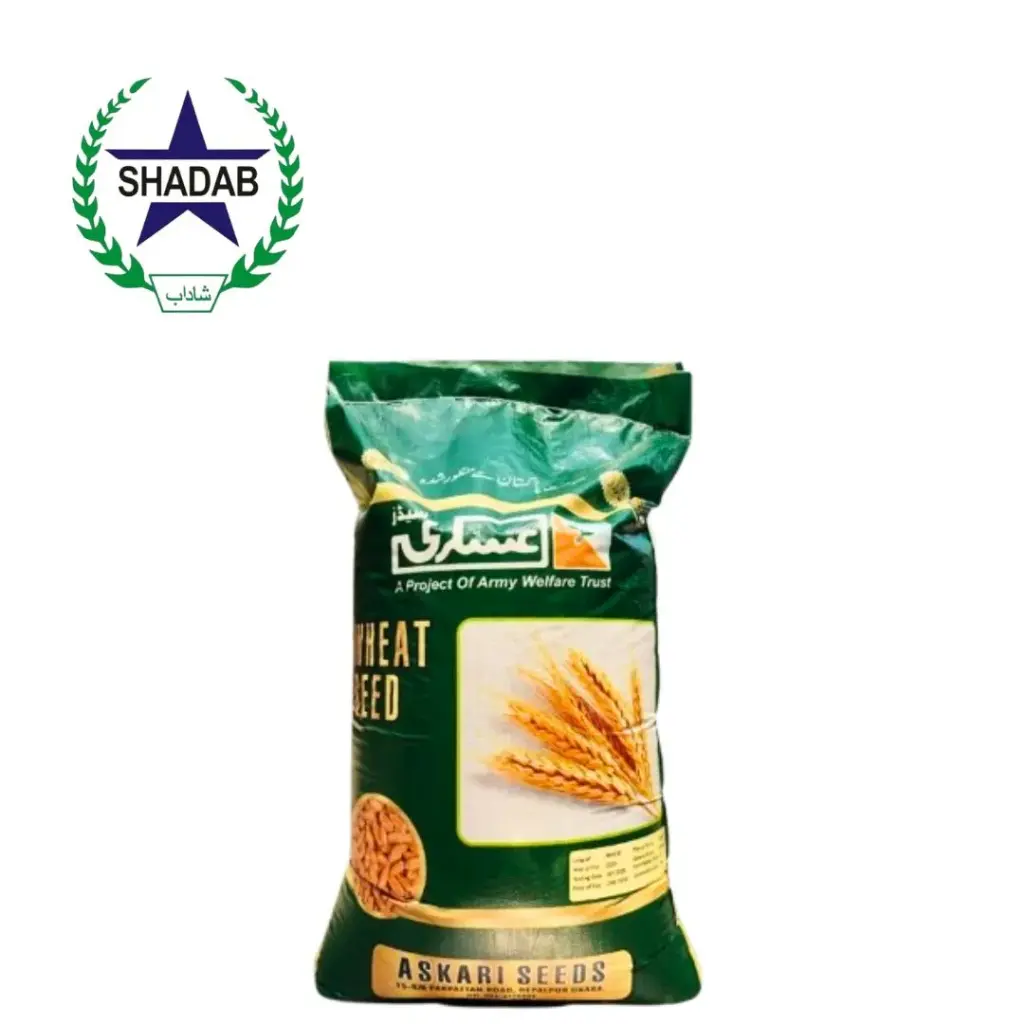 ASKARI WHEAT SEED