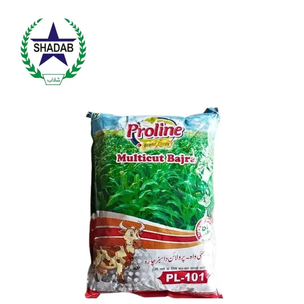PROLINE BAJRA MULTICUT (FODDER)