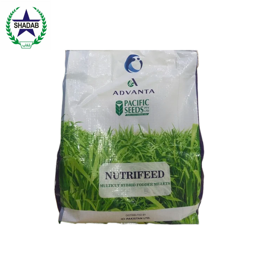 LCI ADVANTA BAJRA SEED NUTRIFEED MULT-CUT HYBRID