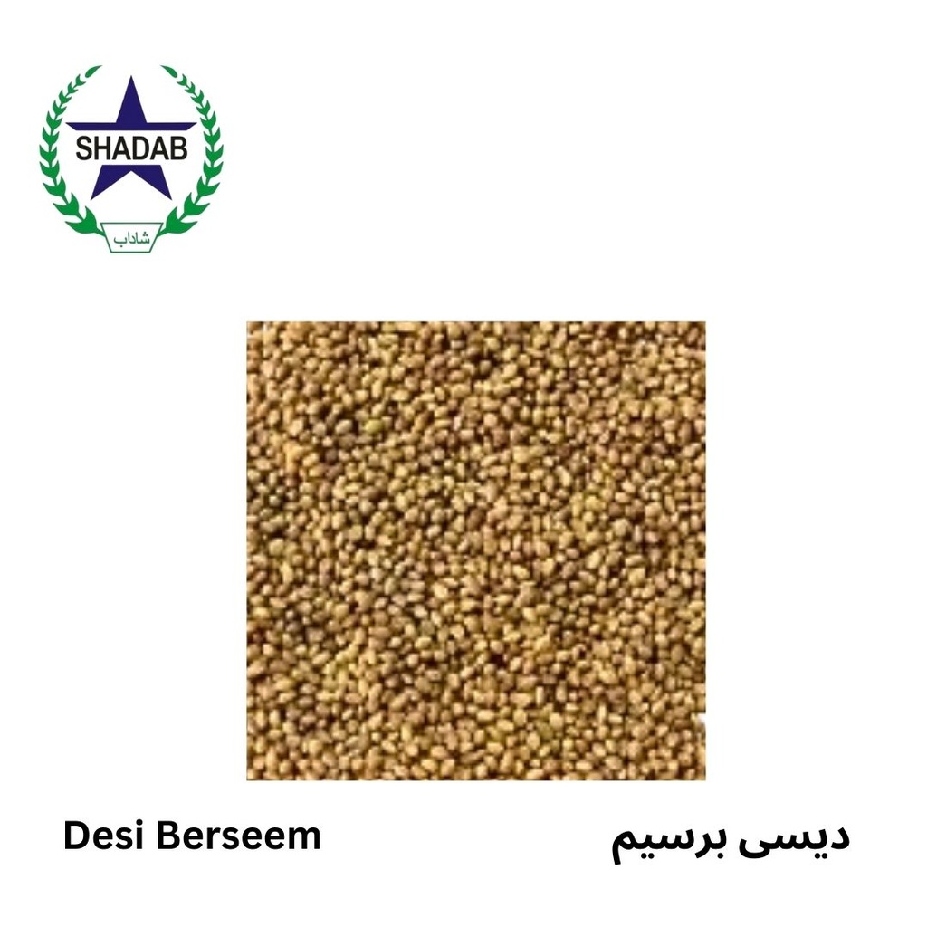 BERSEEM SEED