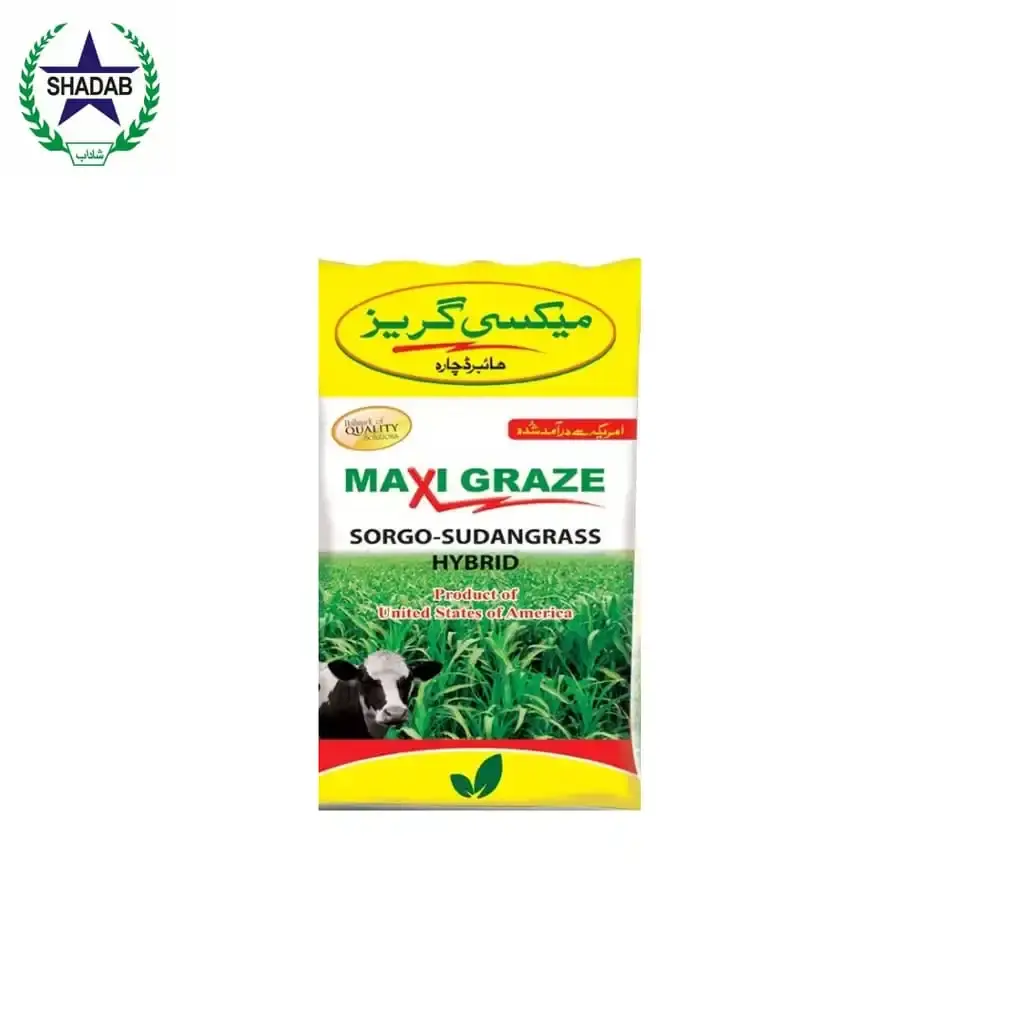 SAYBAN JAWAR MAXI GRAZE 