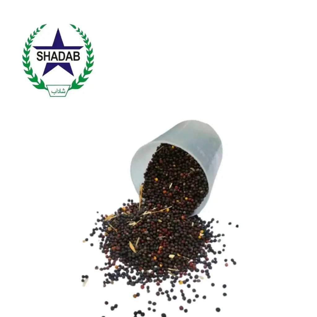 GOBHI SARIO SEED 
