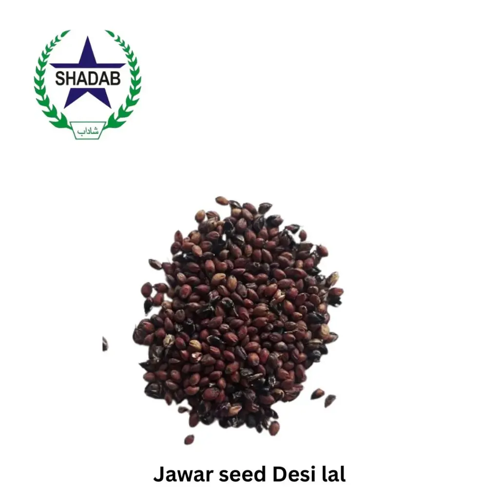 JAWAR SEED DESI LAL 