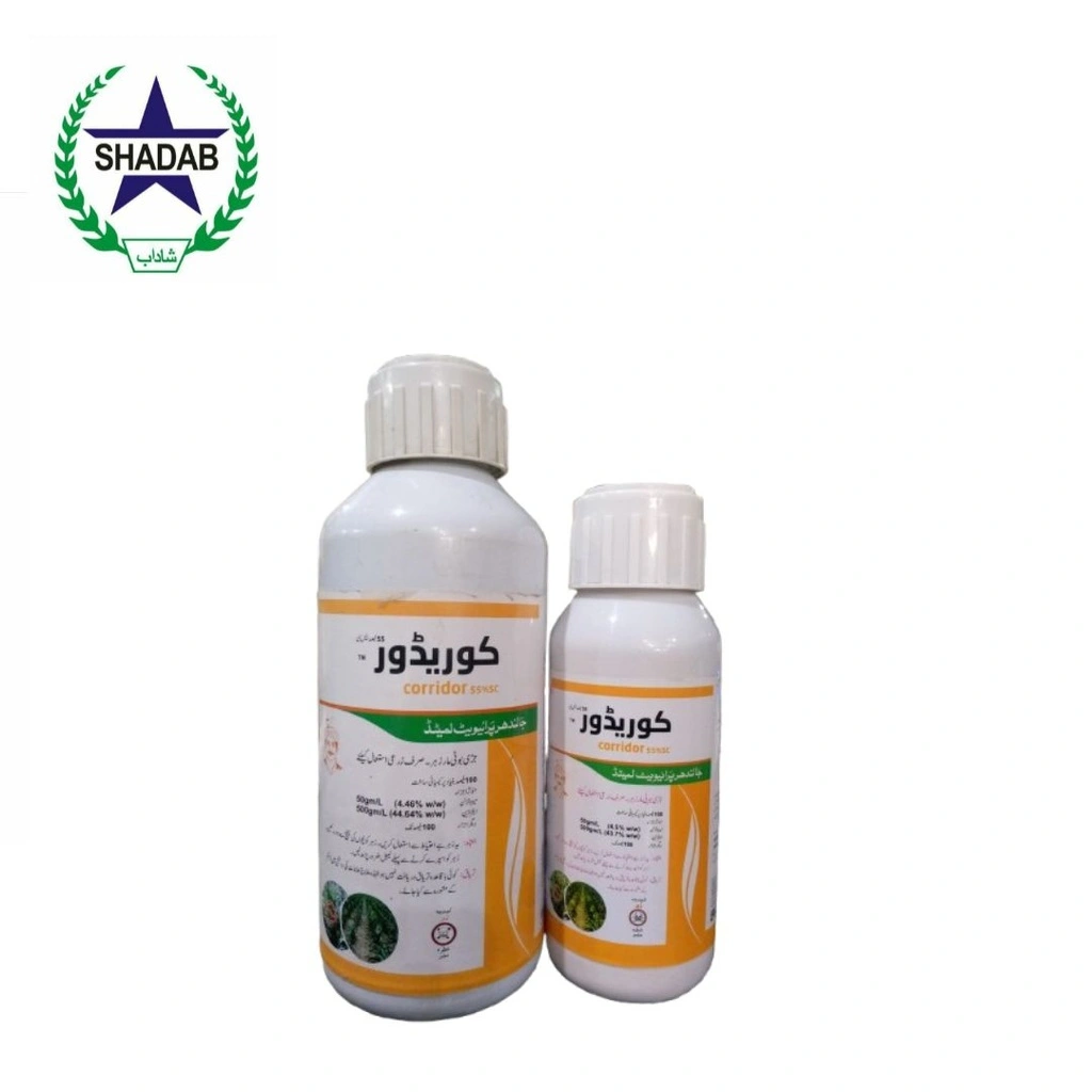 JPL CORRIDOR 55%SC 