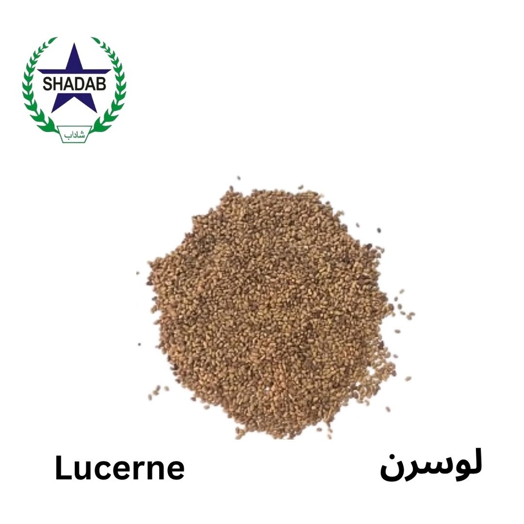 LUCERN SEED 6,MONTHS