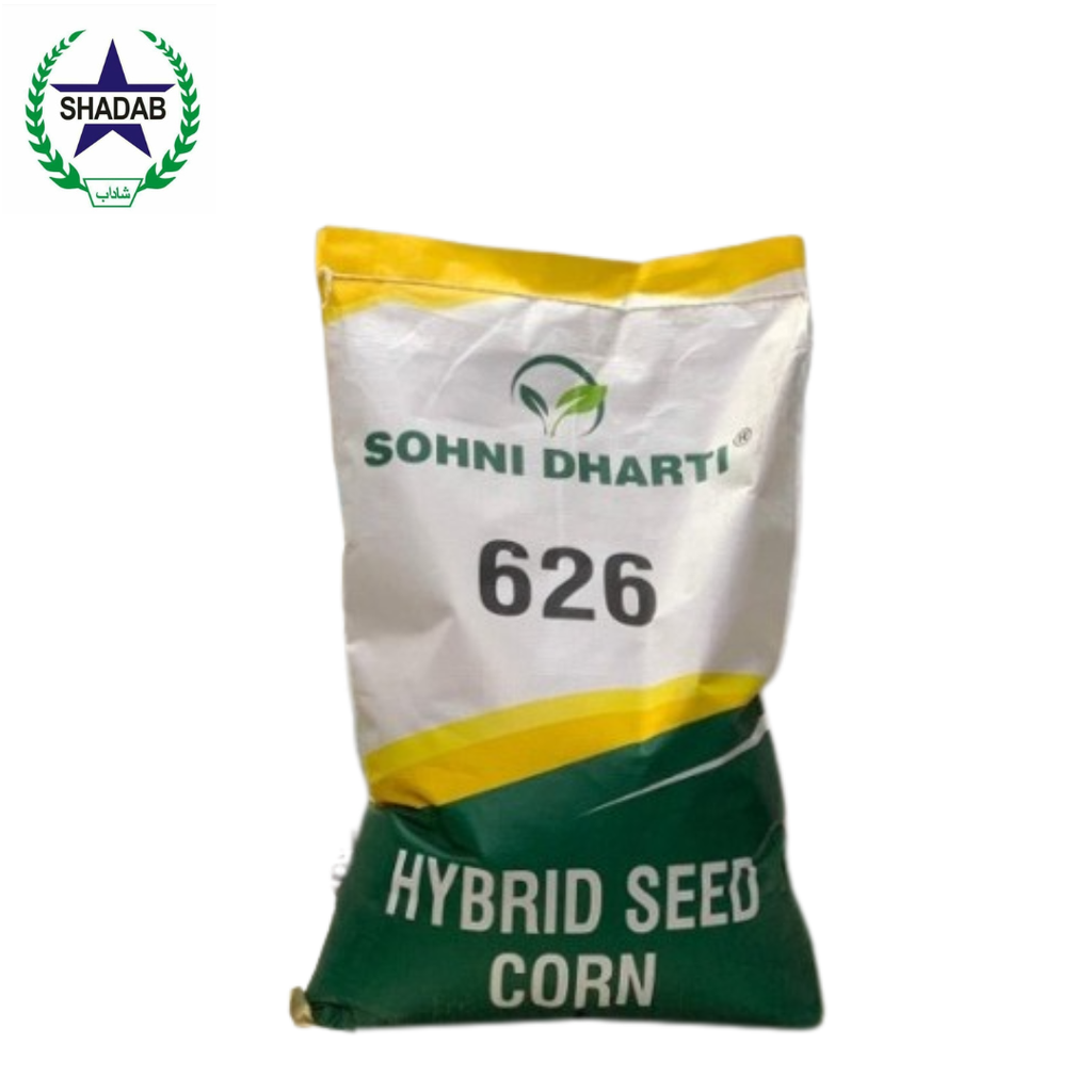 MAIZE SEED-SD-626 SOHNI DHARTI HYBRID 