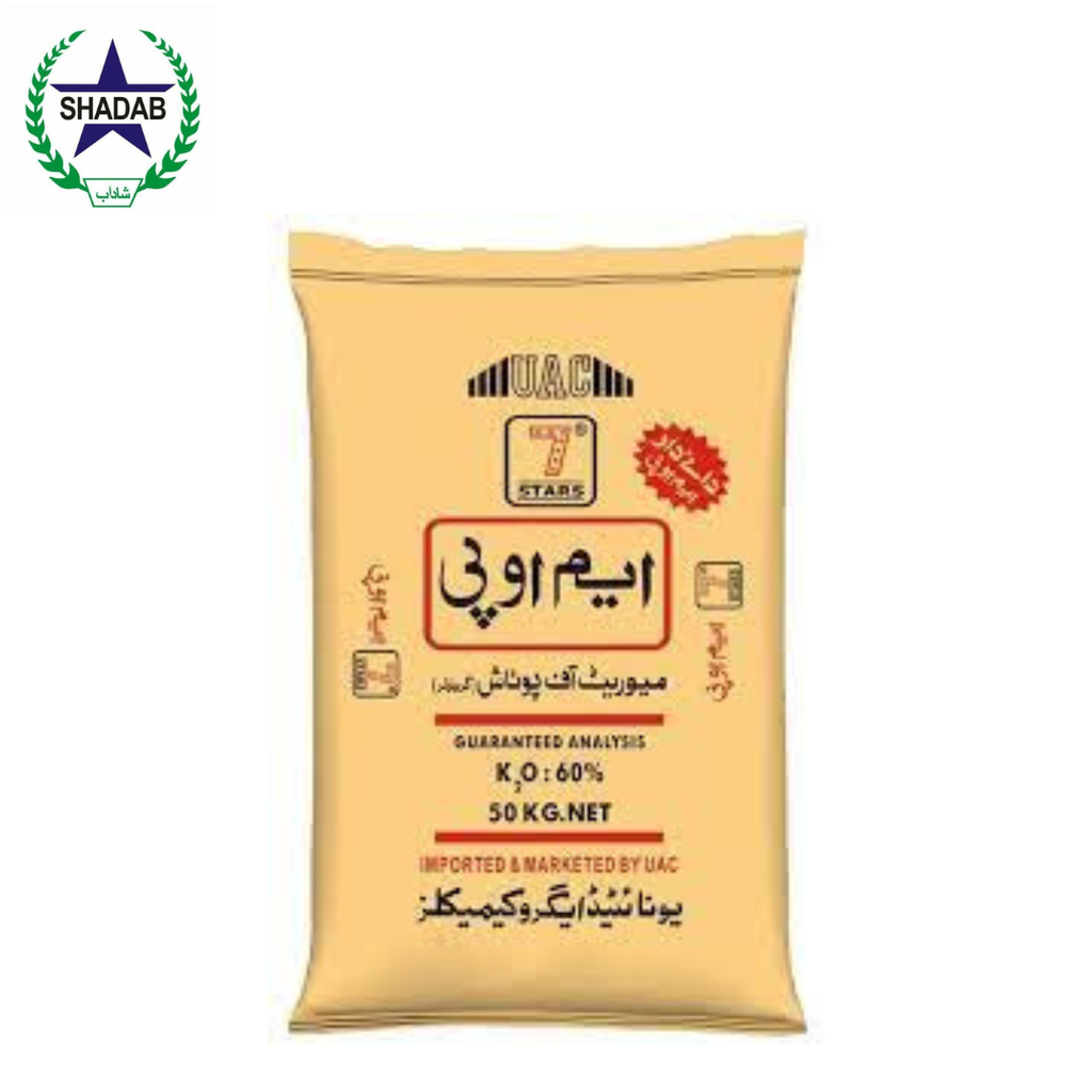 MOP 7 STAR