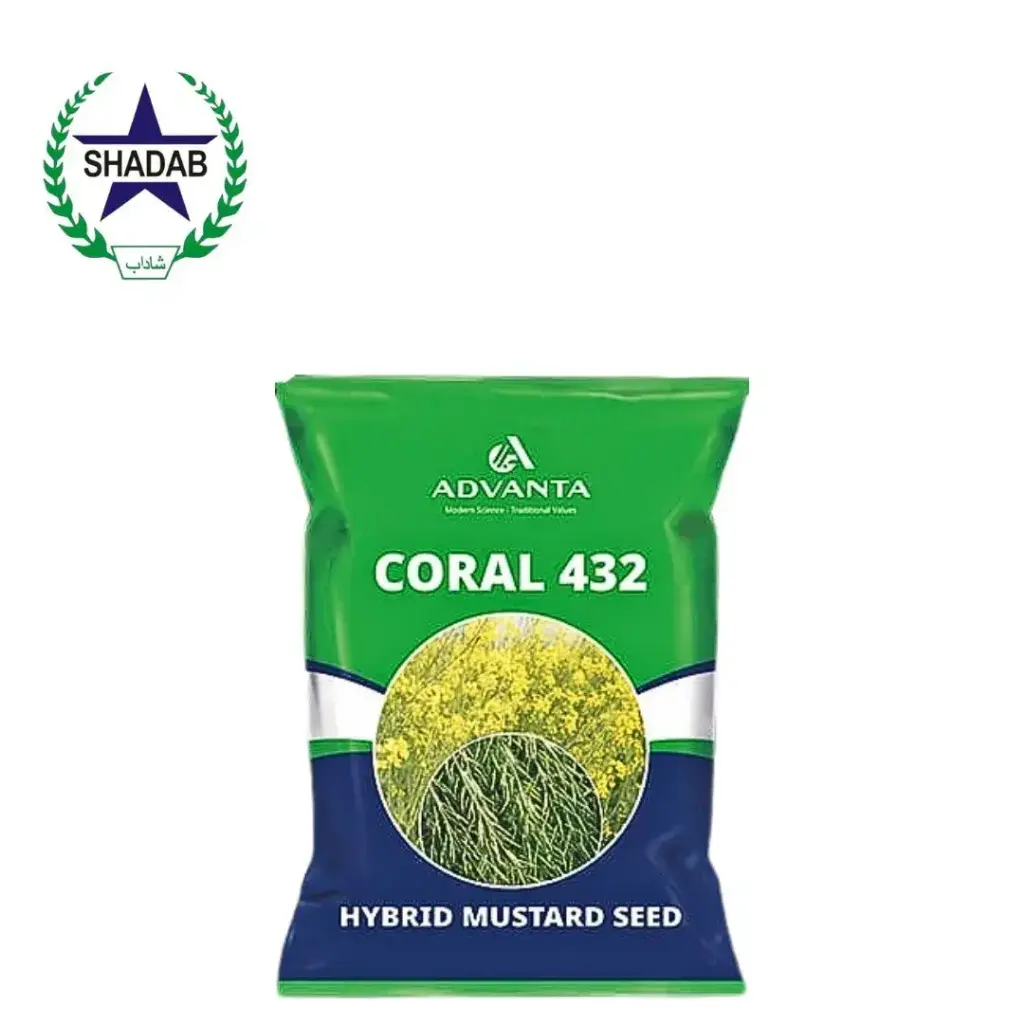 MUSTARD CORAL-432 ICI