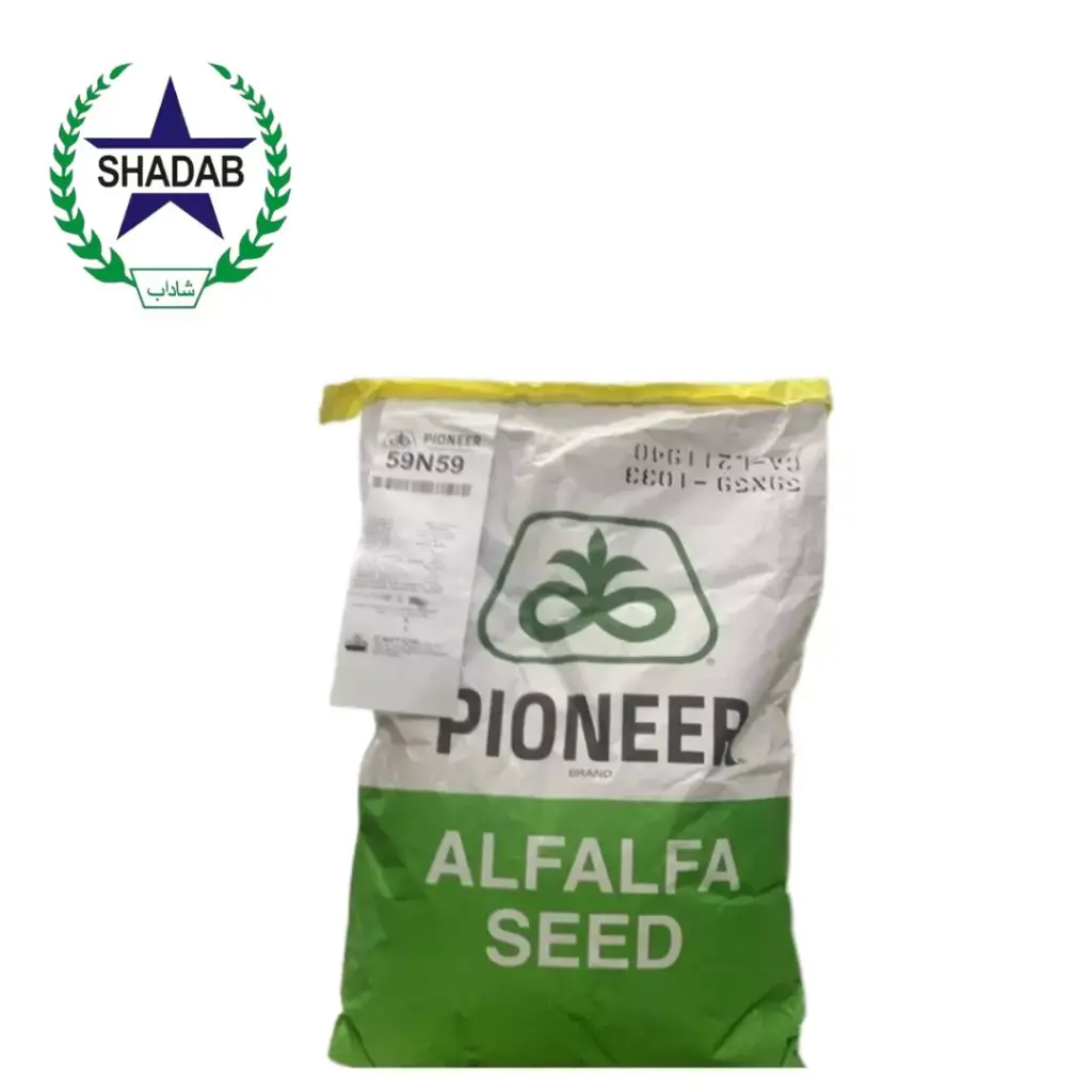 PIONEER ALFALFA 59N59 10KG