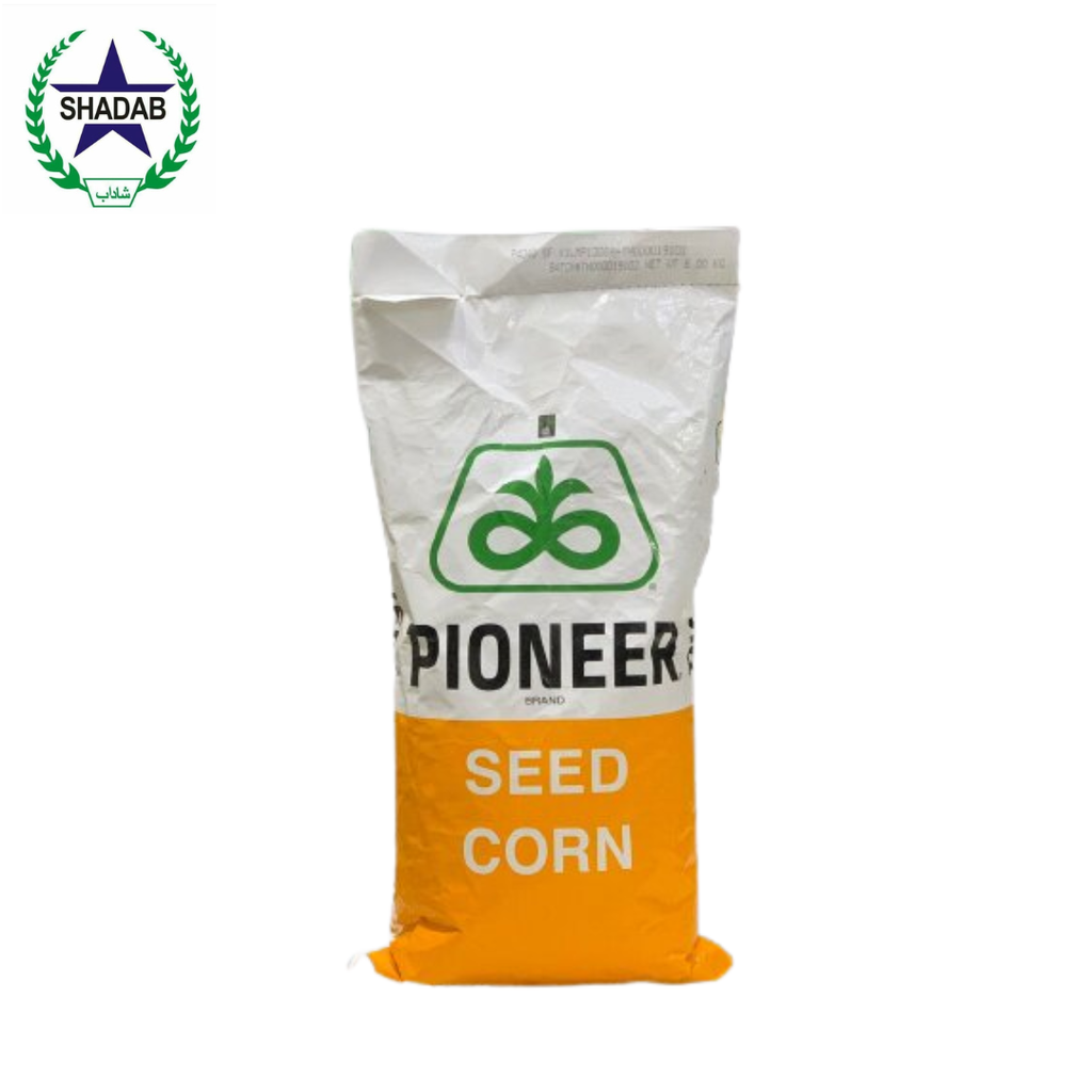 PIONEER MAIZE SEED 4040 HYBRID