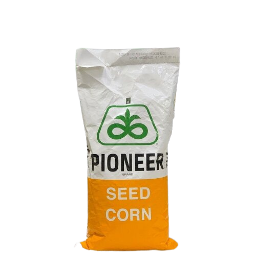 PIONEER MAIZE SEED 6714 HYBRID 