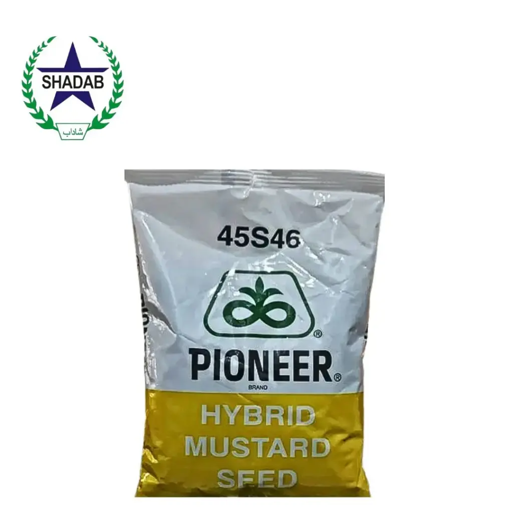 PIONEER MUSTARD HYBRID SEED