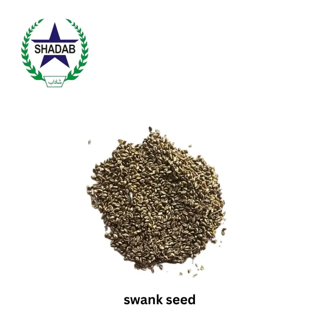 SWANK SEED 