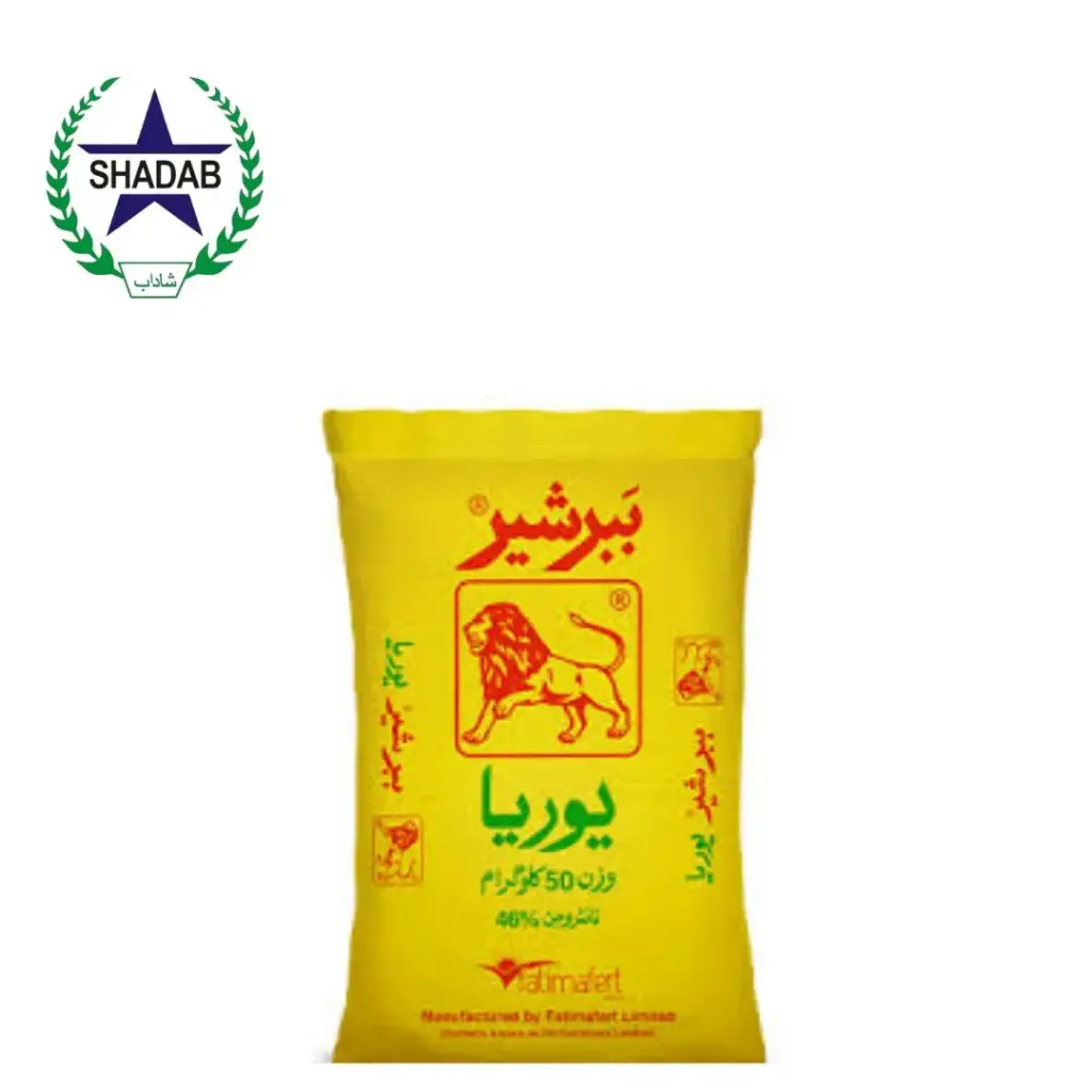 UREA BUBER SHER