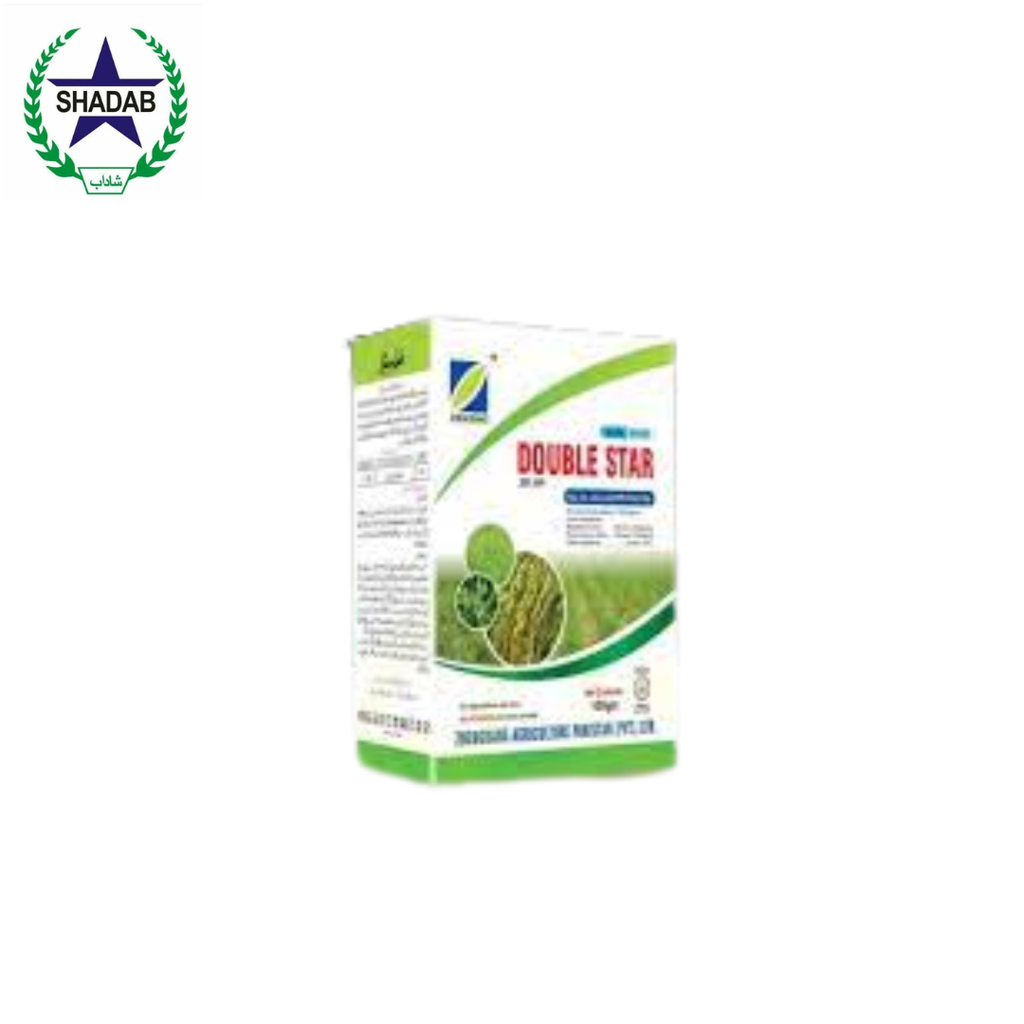 ZHENGBANG DOUBLE STAR 