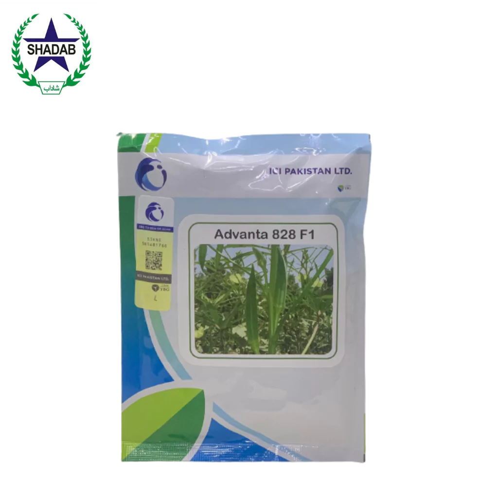 LCI VEGETABLE SEED F1-828 BHINDI
