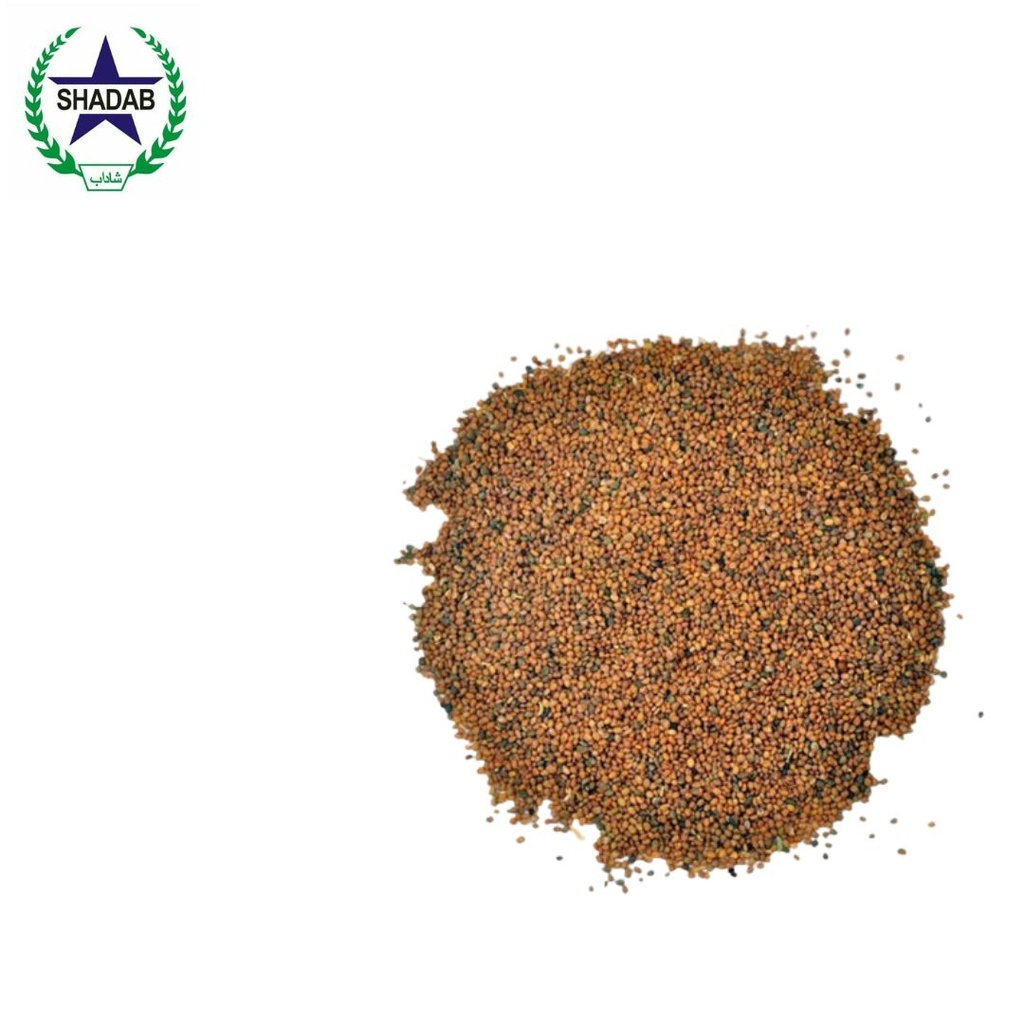 TARA MEERA SEED