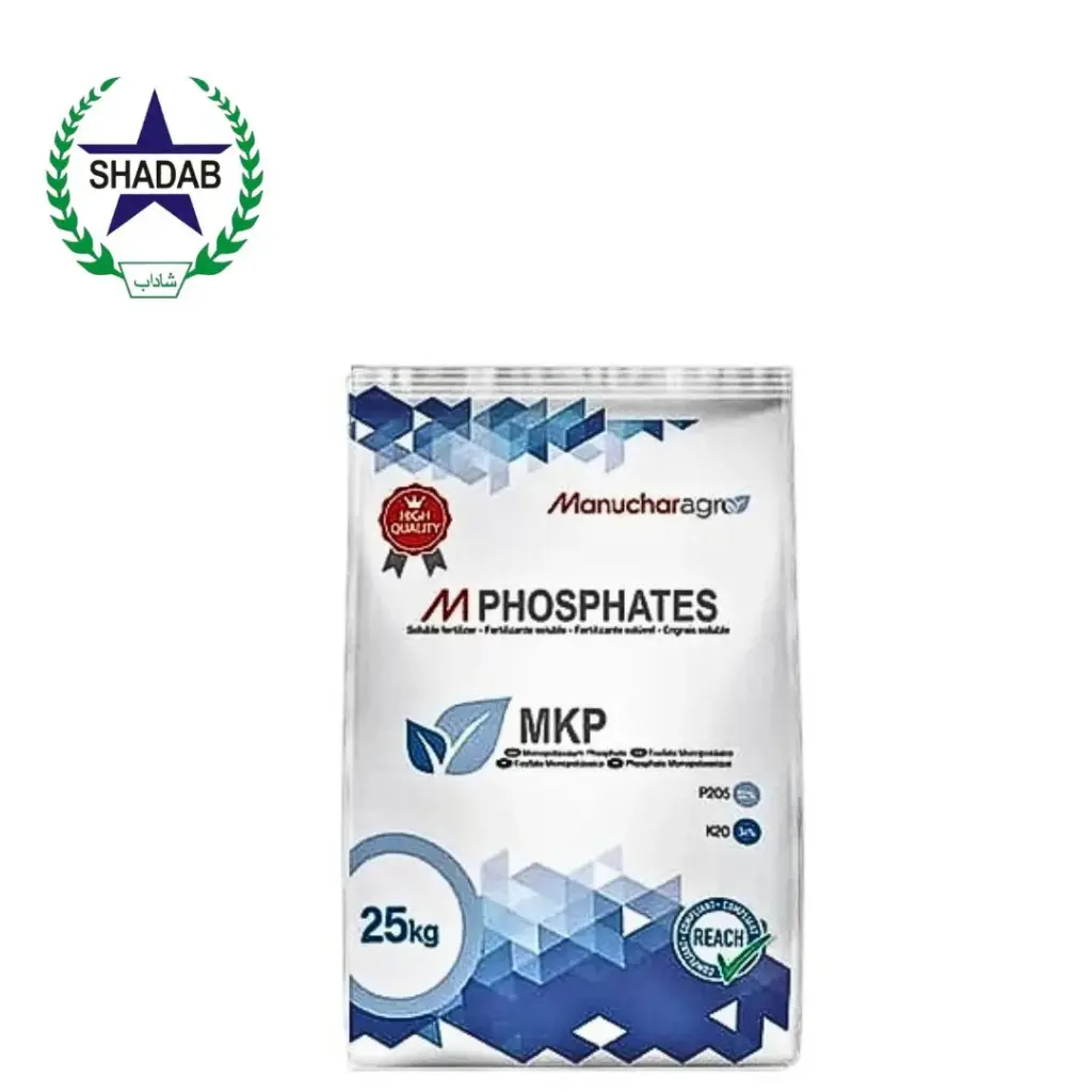 MANUCHAR BELGIUM MKP
