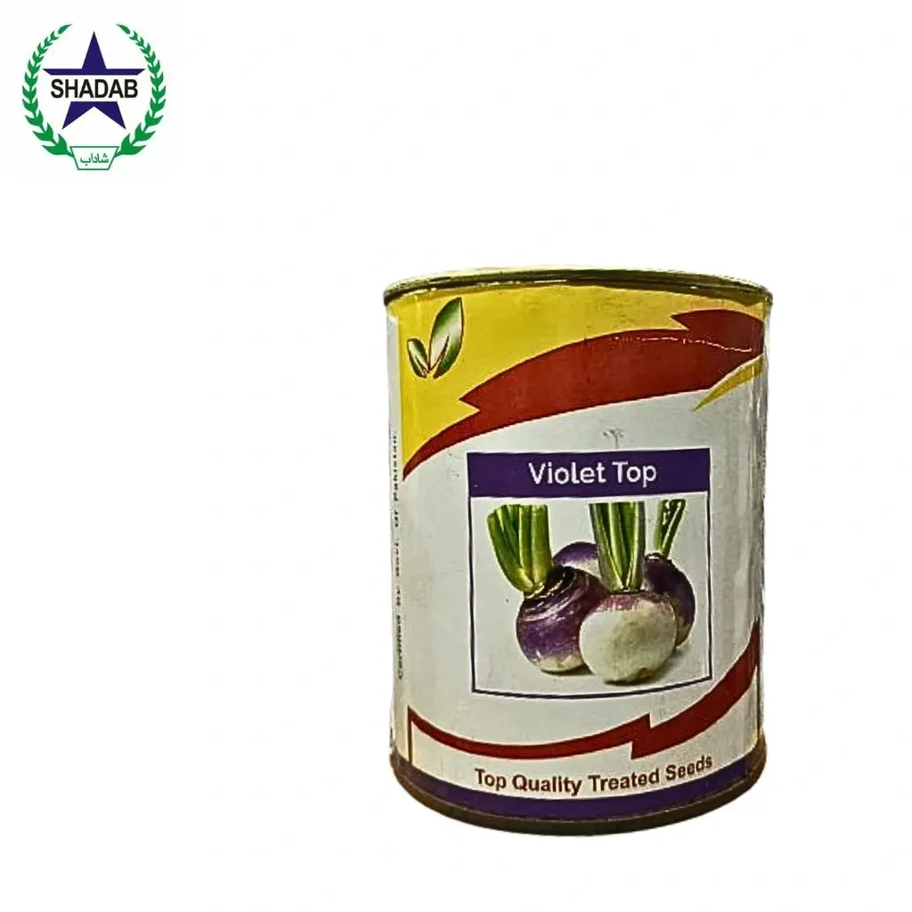 SAYBAN VIOLET TOP 