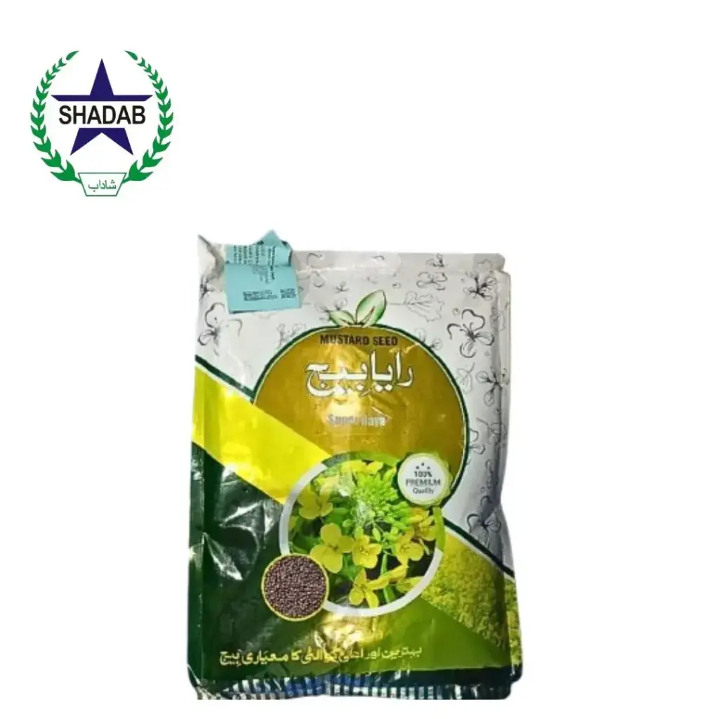 SAYBAN SUPER RAYA