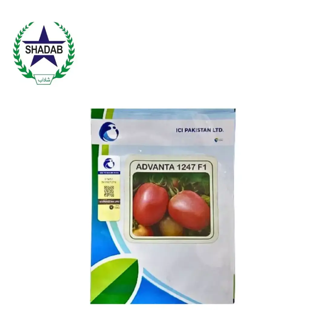 ICI VEGETABLE SEED TOMATO 1247
