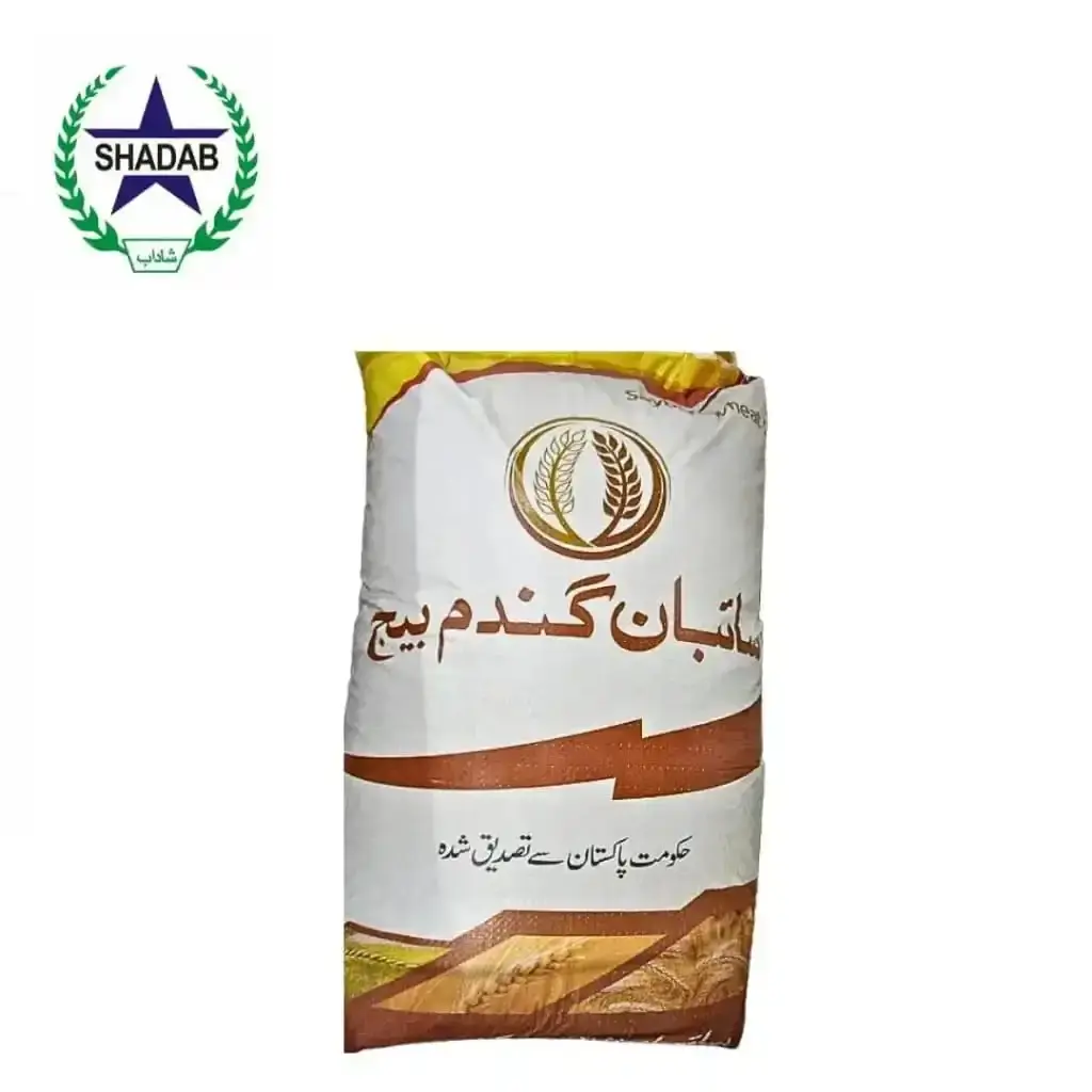 SAYBAN WHEAT SEED