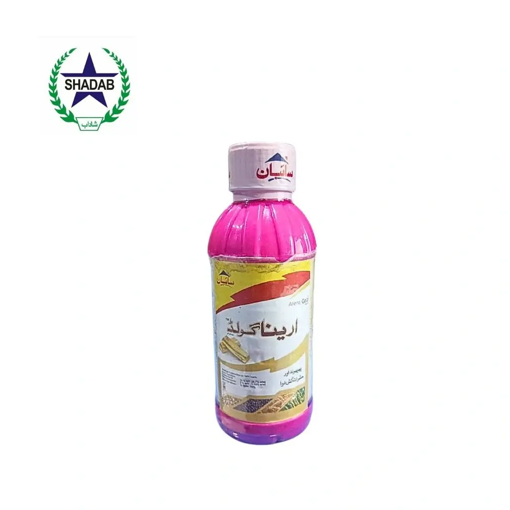 SAYBAN ARENA GOLD 360FS