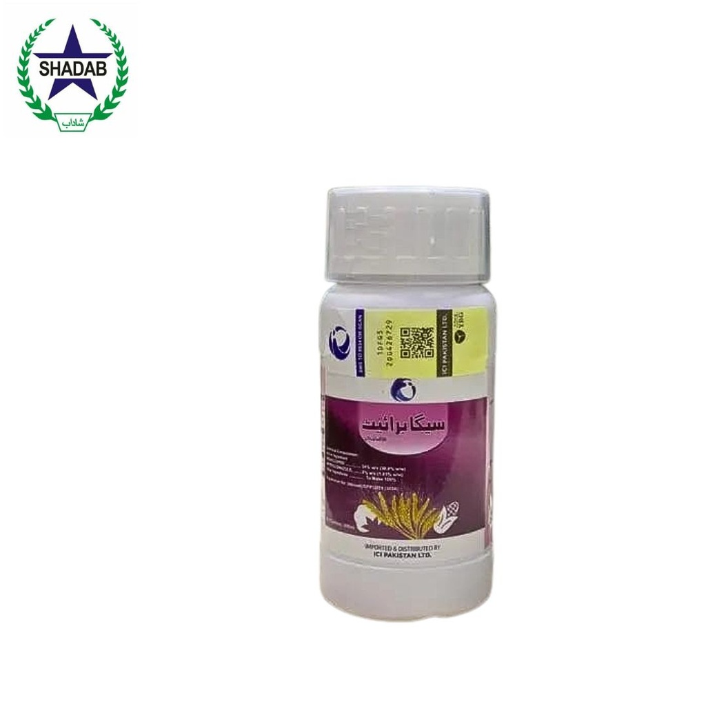 LCI SEGA BRIGHT 36% FS