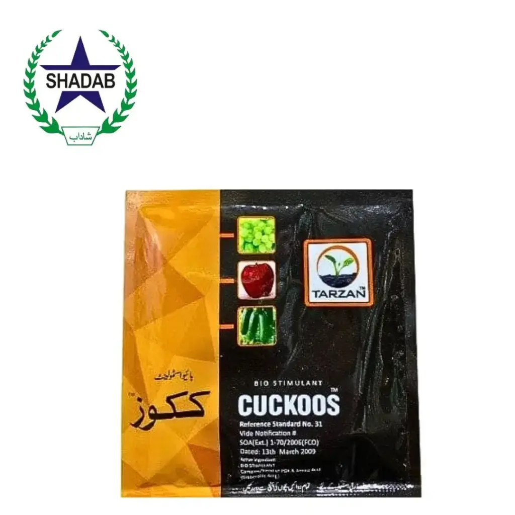 FOUR B CUCKOOS 