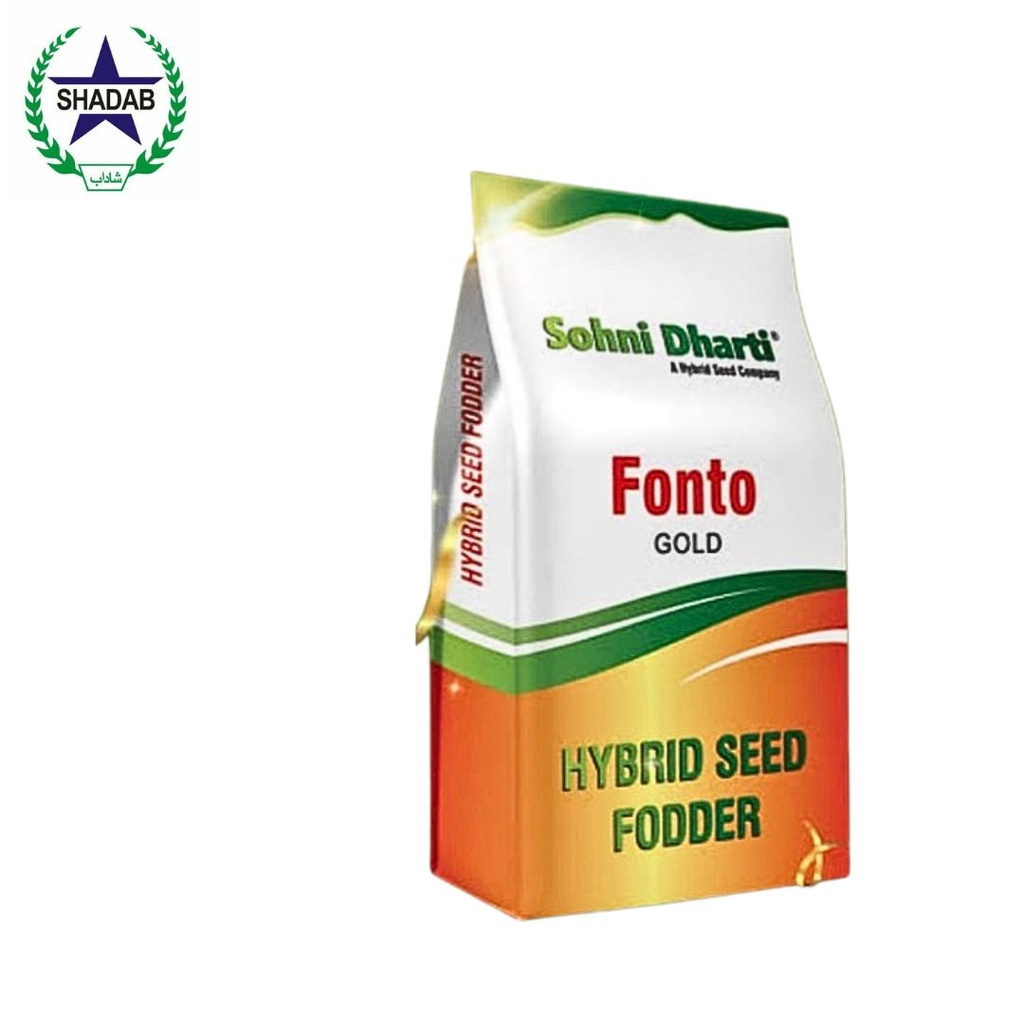 SOHNI DHARTI FONTO GOLD