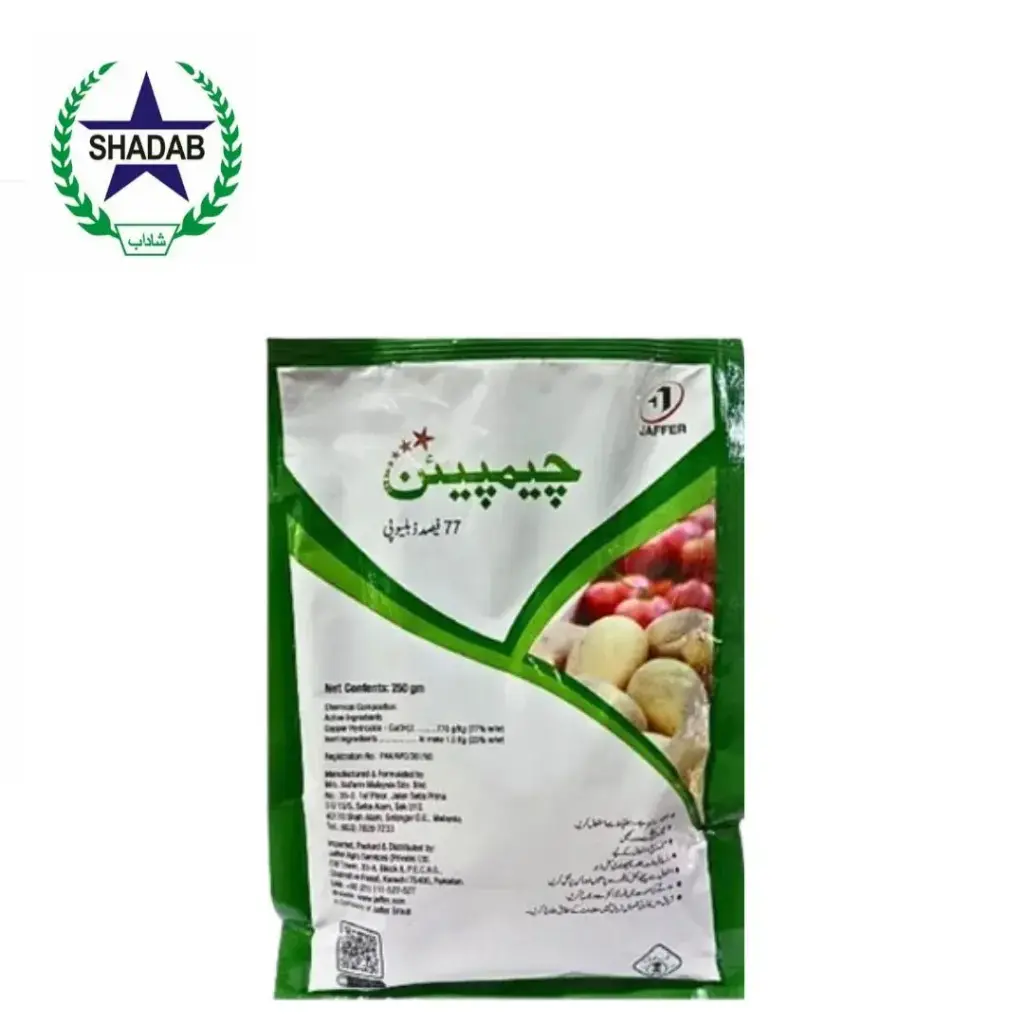 JAFFER CHAMPION 77% WP