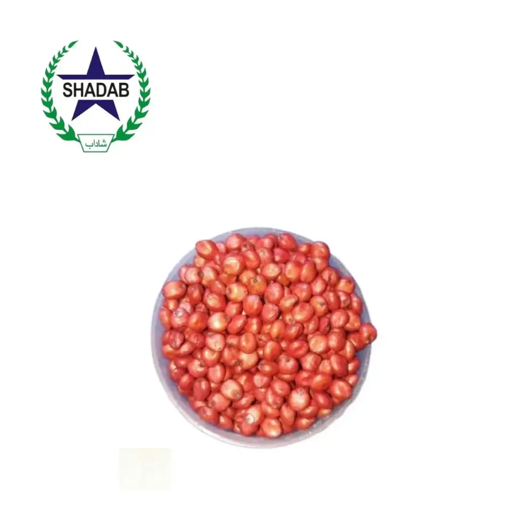 JAWAR MULTICUT 