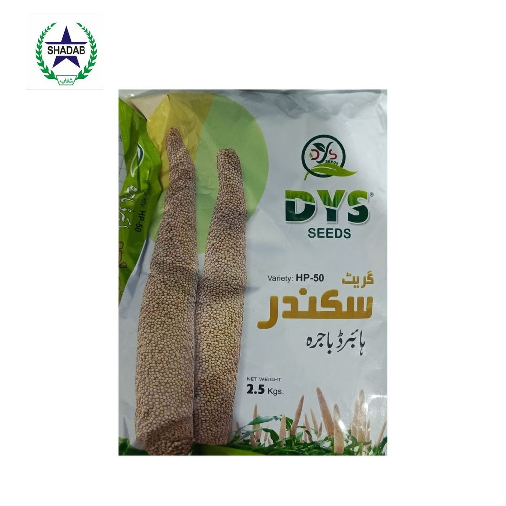 BAJRA HYBRID (GRAIN)