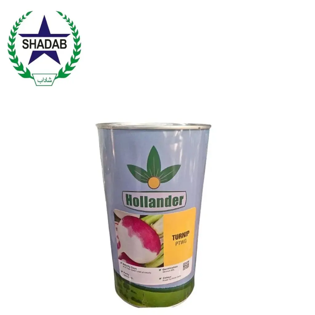 RACHNA HOLLANDER TURNIP SEED TIN