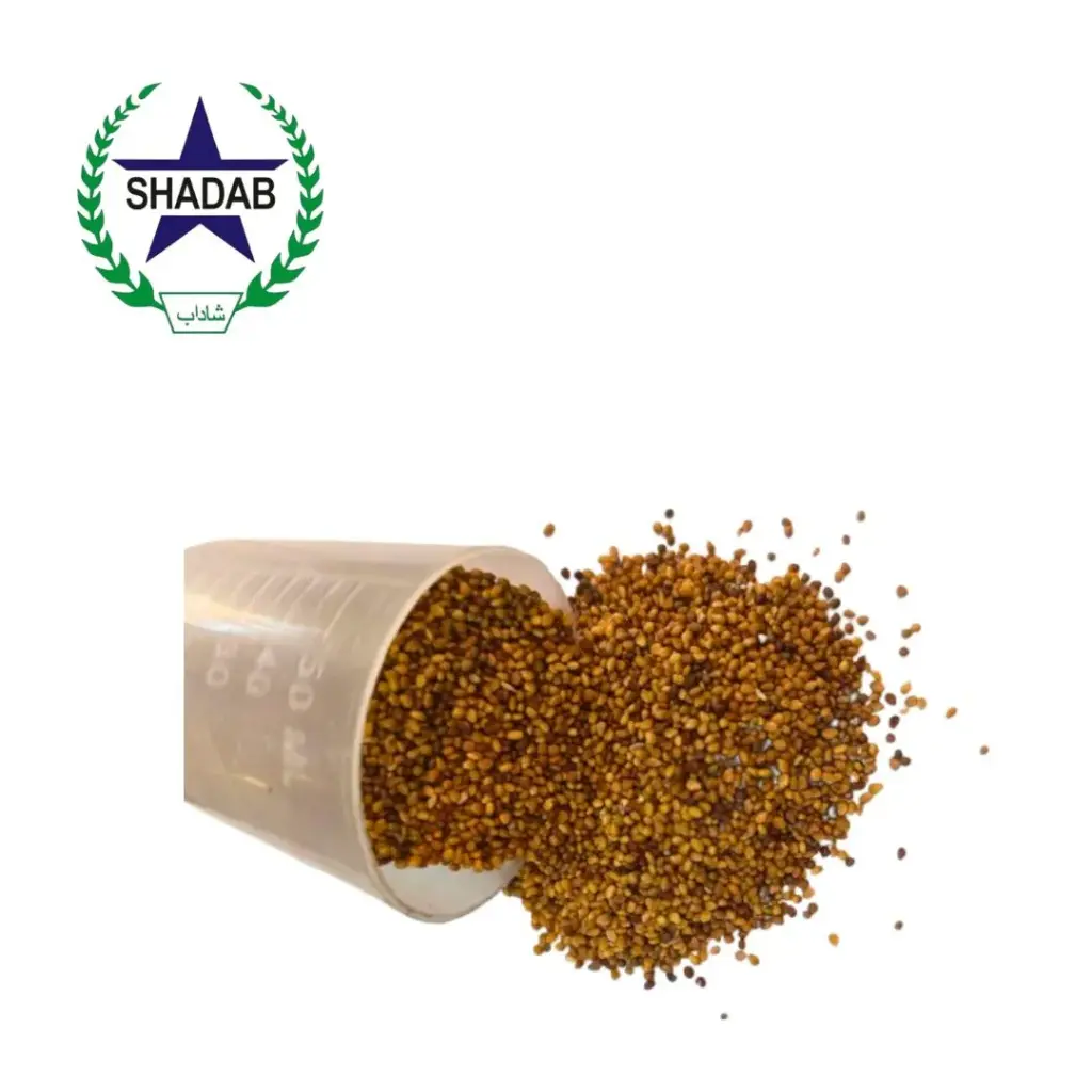 SHAFTAL SEED 