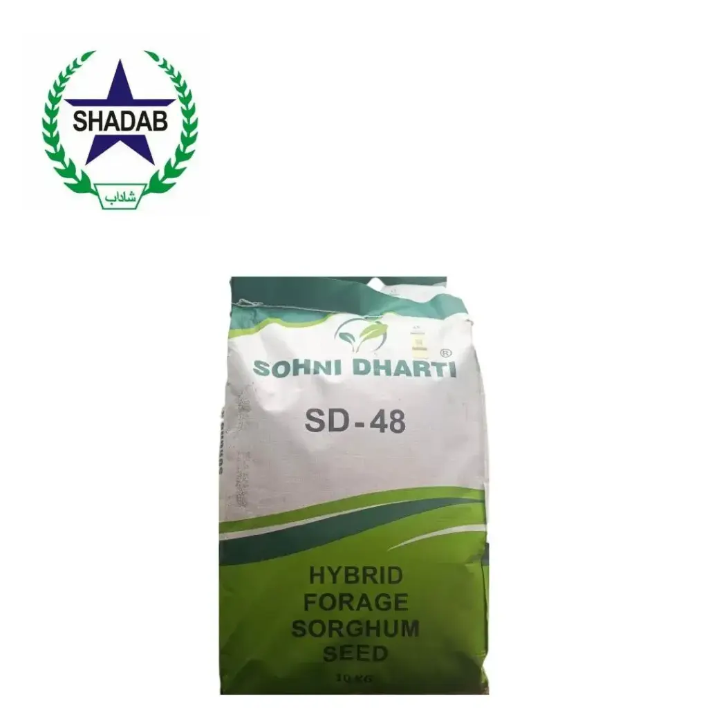 SOHNI DHARTI HYBRID FORAGE SORGHUM SD-48