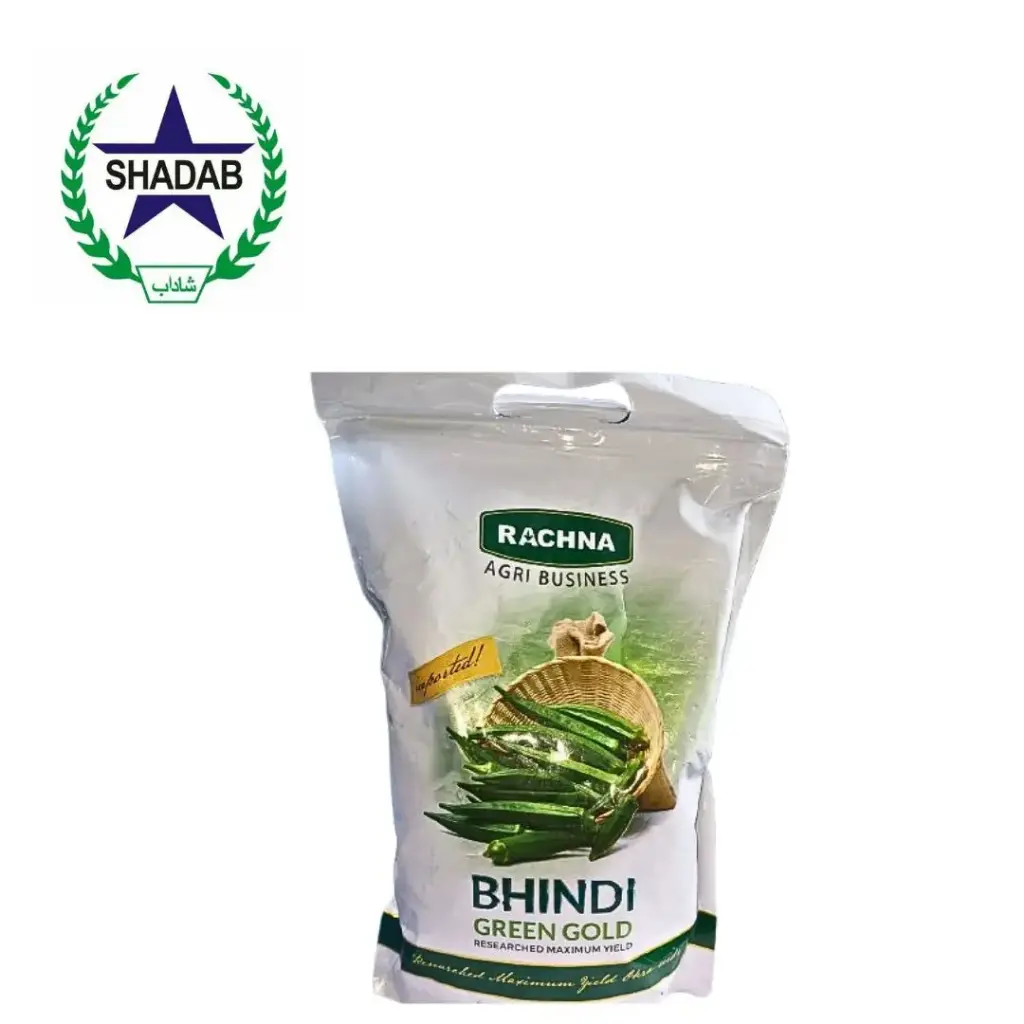 RACHNA BHINDI GREEN GOLD