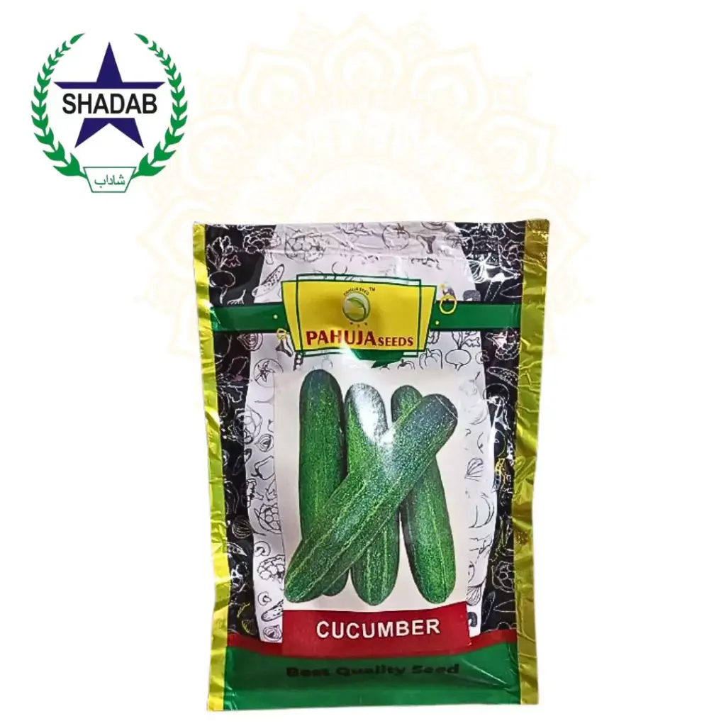 PAHUJA CUCUMBER SEED