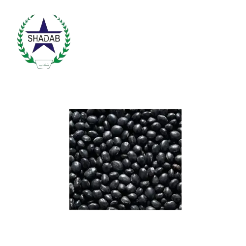 BLACK BEAN SEED