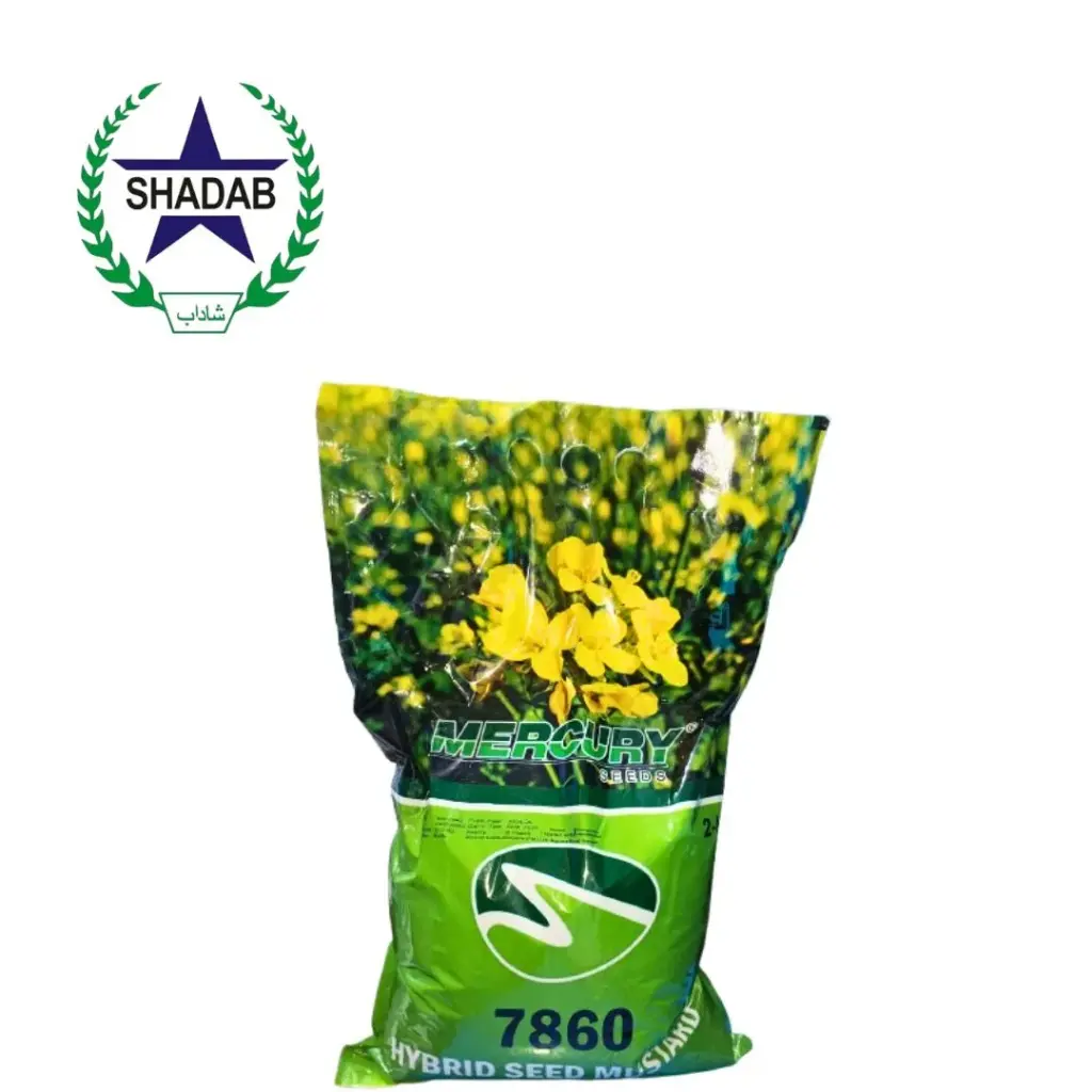 MERCURY HYBRID MUSTARD MS-7860