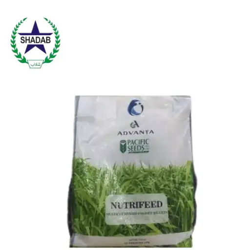 LCI BAJRA HYBRID  M-939