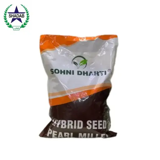 BAJRA SEED 55S90 (SOHNI DHARTI) 