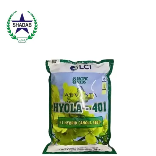 [CANOLA] ICI CANOLA HYOLA-401