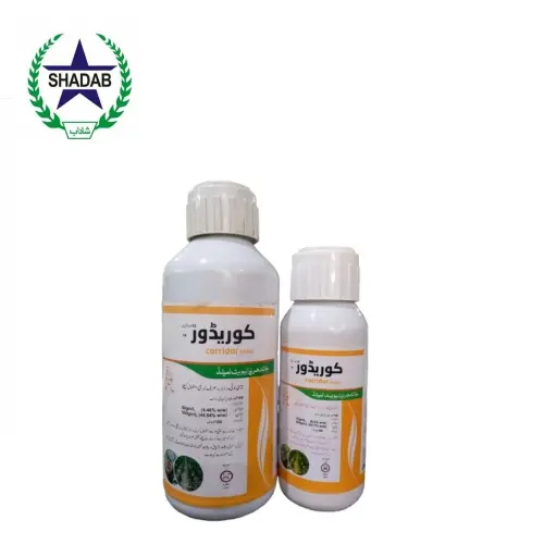 JPL CORRIDOR 55%SC 