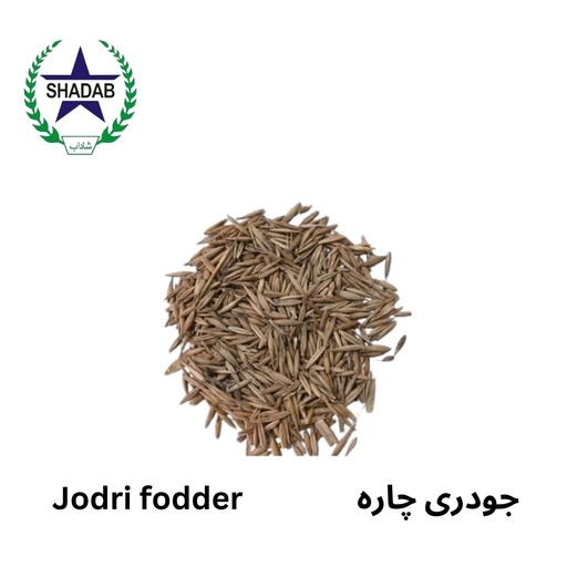 [JUDARI SEED ] JUDARI SEED 