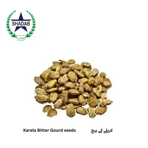 [KARELLA SEED] KARELA (BITTER GOURD) SEED