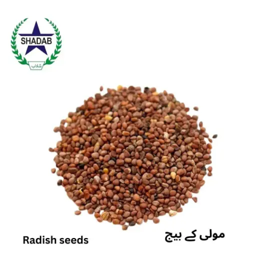 MOOLI (RADISH) SEED