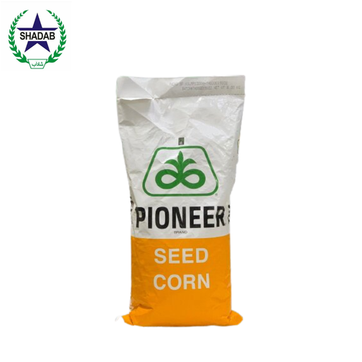 PIONEER MAIZE SEED 4040 HYBRID