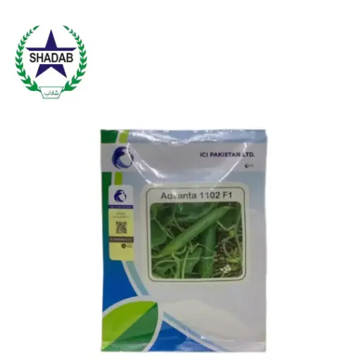 LCI VEGETABLE SEED F1-1102 TORI