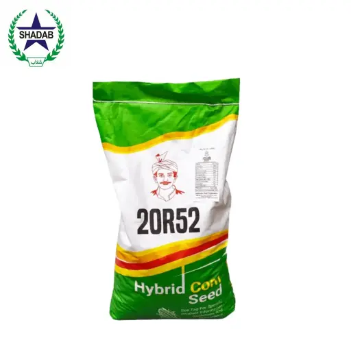 [MAIZE SEED] JPL HYBRID CORN 20R52 